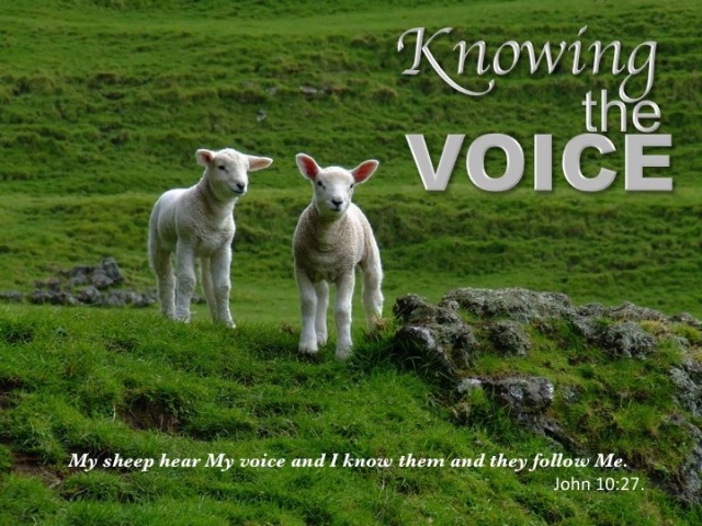 Knowing the Voice